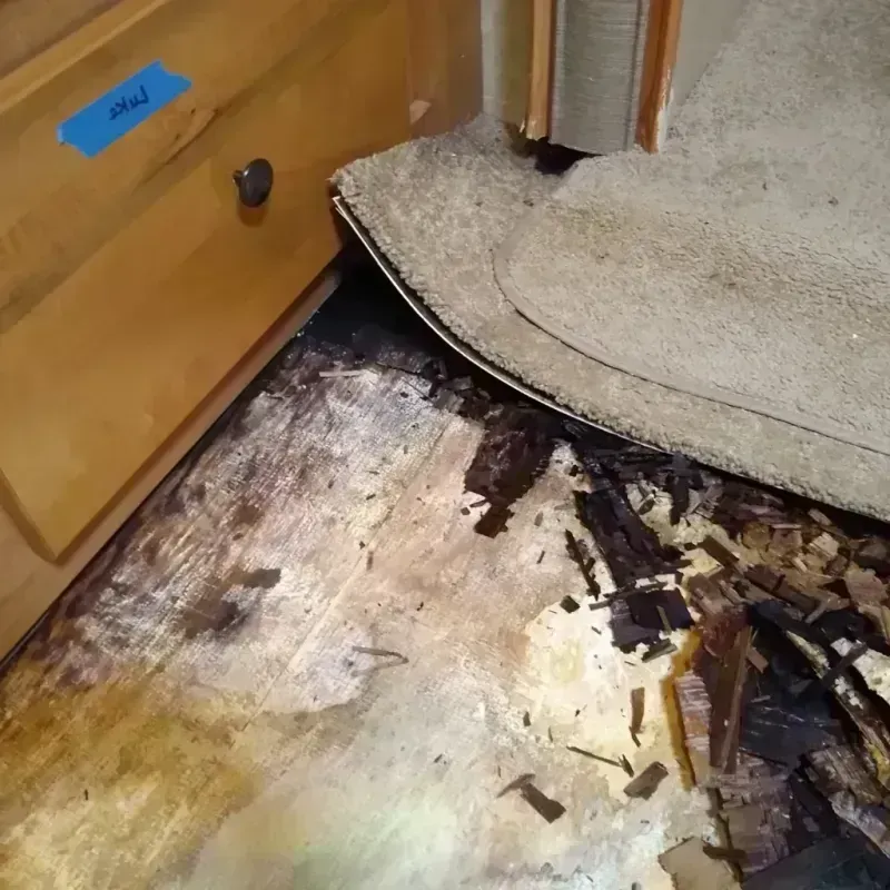 Best Wood Floor Water Damage Service in Beecher, IL